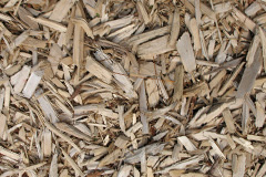 biomass boilers Harrowbeer