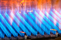 Harrowbeer gas fired boilers